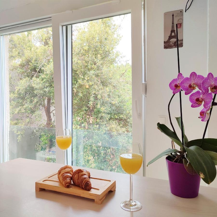 Studio Apartments Kali Apartma